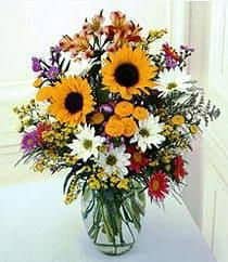 Fun Fall Flowers - VanderSalm's Flowershop