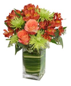 peach roses and green fuji mums in vase