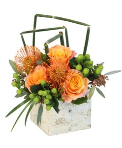 his cube full of Roses, Hypericum and Pincushion Proteas is a unique arrangement that with be sure to impress no matter what the occasion.