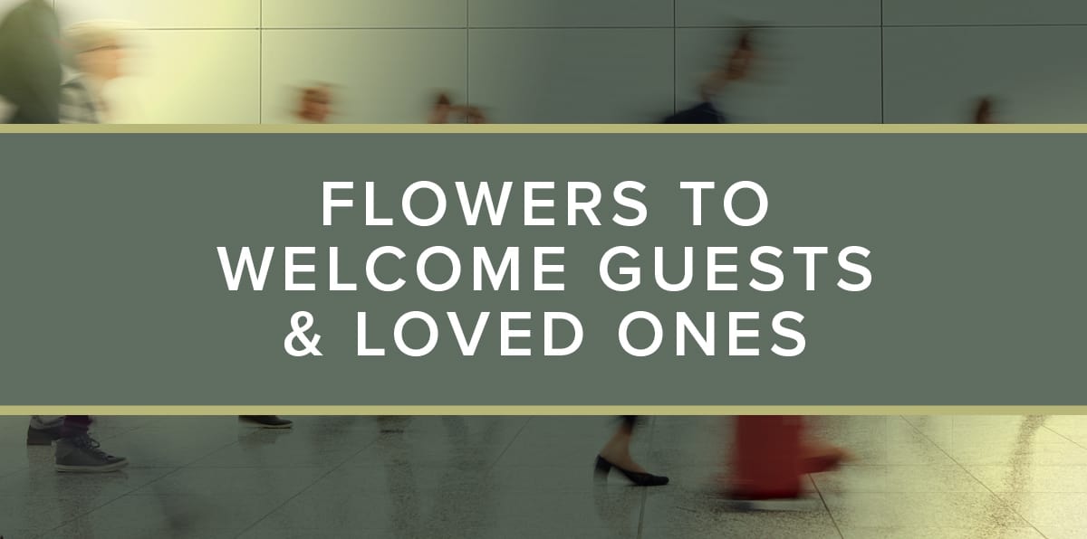 Dos & Don'ts of Bringing Someone Flowers at the Airport VanderSalm's